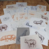 Assorted Animal sketches, Eugene Olson Layton School 1951-1955