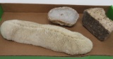 Rock, Mineral and Coral Lot, three pieces