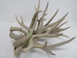 Bundle of deer antlers, six antlers