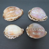 Four etched souvenir shells