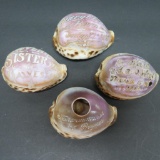1800-1904 carved souvenir shells