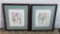 Two framed Botanical Prints, 17
