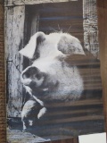 1968 Personality Poster, Pig, 42 1/2
