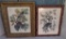 Two ornate framed engraving of birds