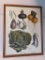 Vegetable Print, Paris, Vilmorin-Andrieux