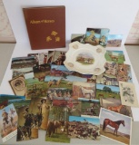 Horse Book and 41 horse postcards