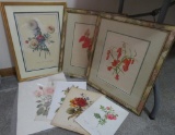 7 pieces Framed and Floral prints