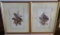 Two Fruit Prints, framed, Italian, 15