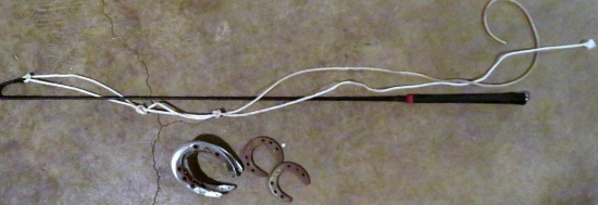 Horse whip and shoes