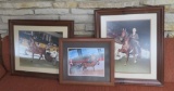 Large Framed Horse Show colored photos