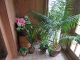Large lot of artificial plants with plant riser