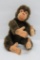 Jocko steiff Monkey, 5