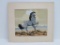 Virgil Horse print, Tewa New Mexico, Appaloosa, matted, 13 1/2