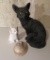 Cat figurines, plaster and resin