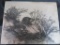 Collectible etched marble racoon art, 20