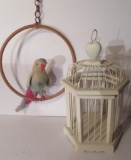 Wooden birdcage and bird on perch