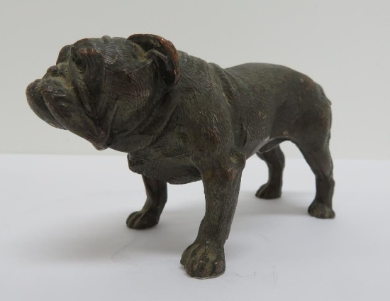 Bronze bull dog paperweight, 5 1/4"