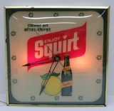 Enjoy Squirt Advertising light up clock, 15