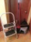 Cleaning and step stool lot