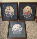 Three framed bird prints by Sam Timm