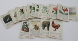 67 Coca Cola The World of Nature cards, 4