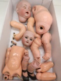 Box lot of doll parts, heads, bodies, and limbs