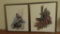 Two framed Balke prints, Snowy Owl and Gray Fox, 18