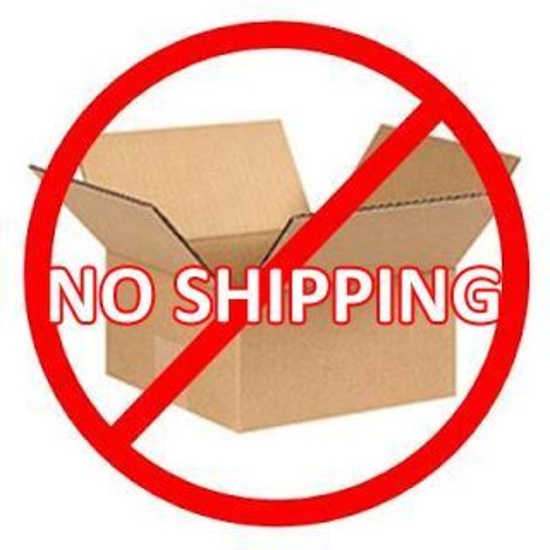 PLEASE NOTE - NO SHIPPING FOR THIS AUCTION!