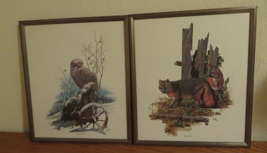 Two framed Balke prints, Snowy Owl and Gray Fox, 18" x 21"