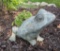 Concrete frog planter with hen and chicks, 10