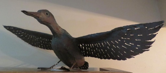 Heavy metal flying duck sculpture, 37" wingspan