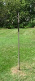 Four hook plant stake