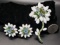 Elegant Colored Rhinestone Flower Brooch and Matching Clip Earrings