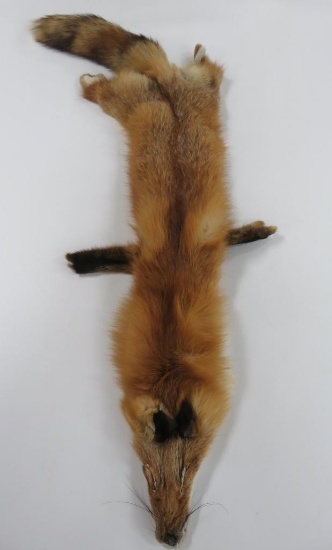 46" red fox pelt