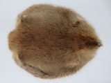Beaver pelt, 25