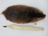 Vintage muskrat and weasel pelts with 1937/38 brass trap tag