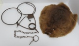 Muskrat pelt and vintage trap