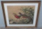 Conrad Roland Asiatic Pheasant print, framed 34