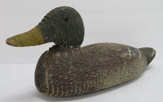 Wooden duck decoy, mallard, 16", glass eye