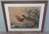 Conrad Roland Asiatic Pheasant print, framed 34