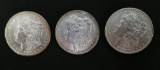 3 MORGANS 1881 - 1882