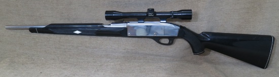 Remington Nylon 66 .22LR