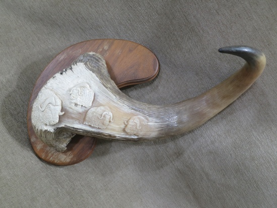 Mounted Carved Musk Ox Horn
