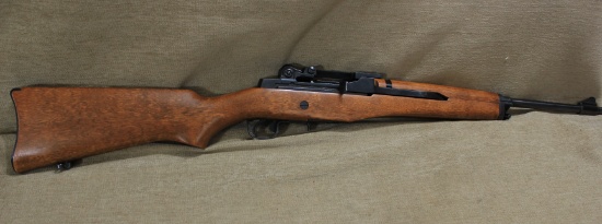 MINI 14 22 CAL