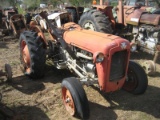 MF 35 Tractor