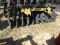 Unused King Kutter 6.5' Disc Harrow