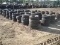 Approx 150 Tires/Wheels
