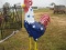 All American Metal Rooster