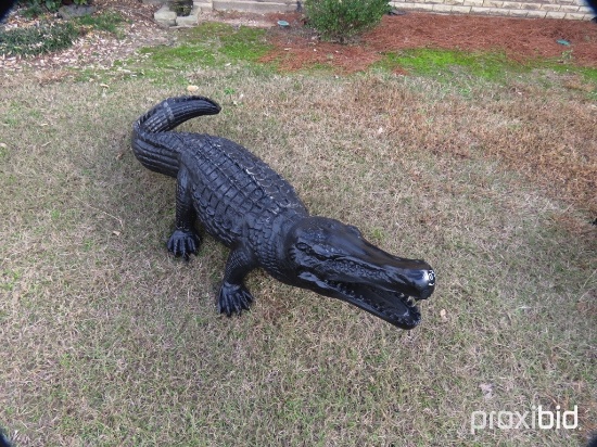 Alligator