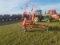 Kuhn GF5202THA Hay Tedder s/n E1311